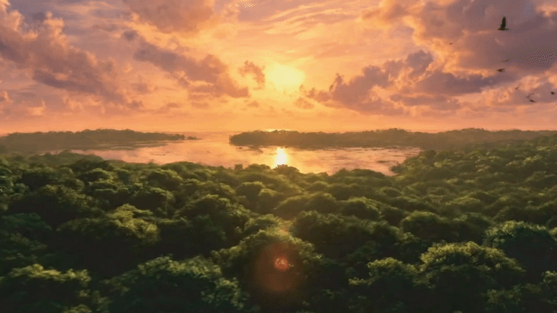 Nature view at Silver Serenity